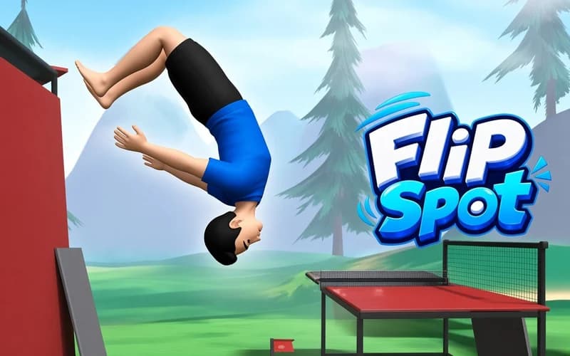Flip Spot