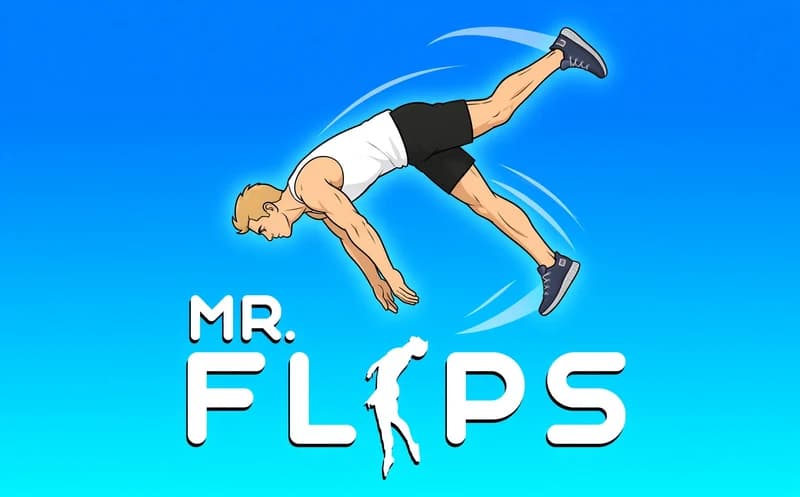Mr Flip