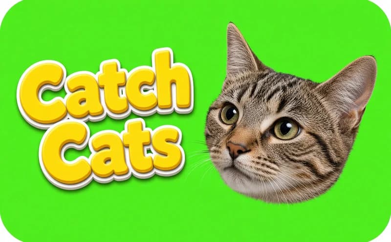 Catch Cats