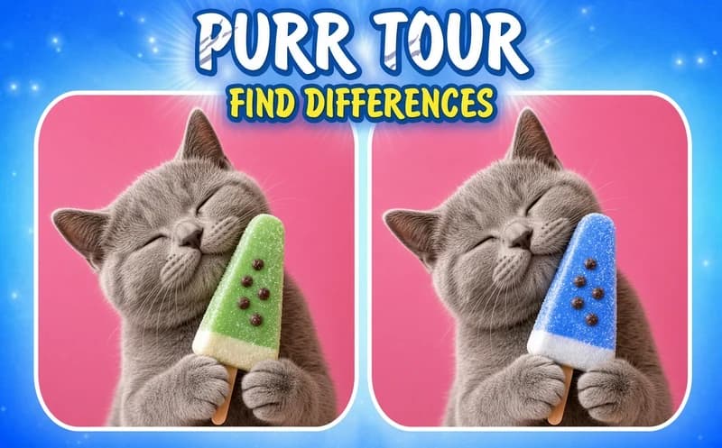 Purr tour Find differences